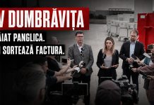 Green șmen USR – Buzoianu, Bugarin și Fritz au inaugurat succesul CAV Dumbrăvița. După opt luni, costurile sar cu 20–30% (I)